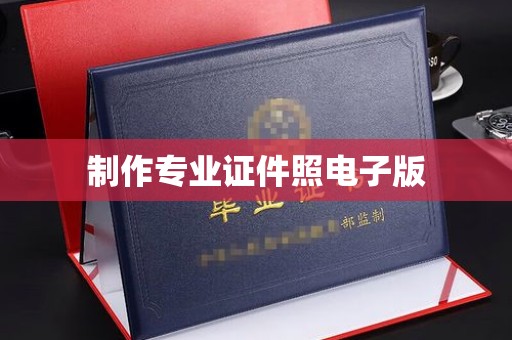 全国制作专业证件照电子版